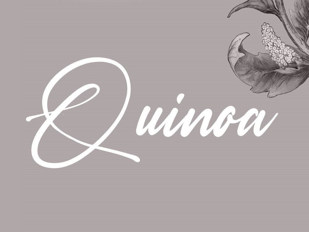 Quinoa: Nutrition, health benefits, and dietary tips