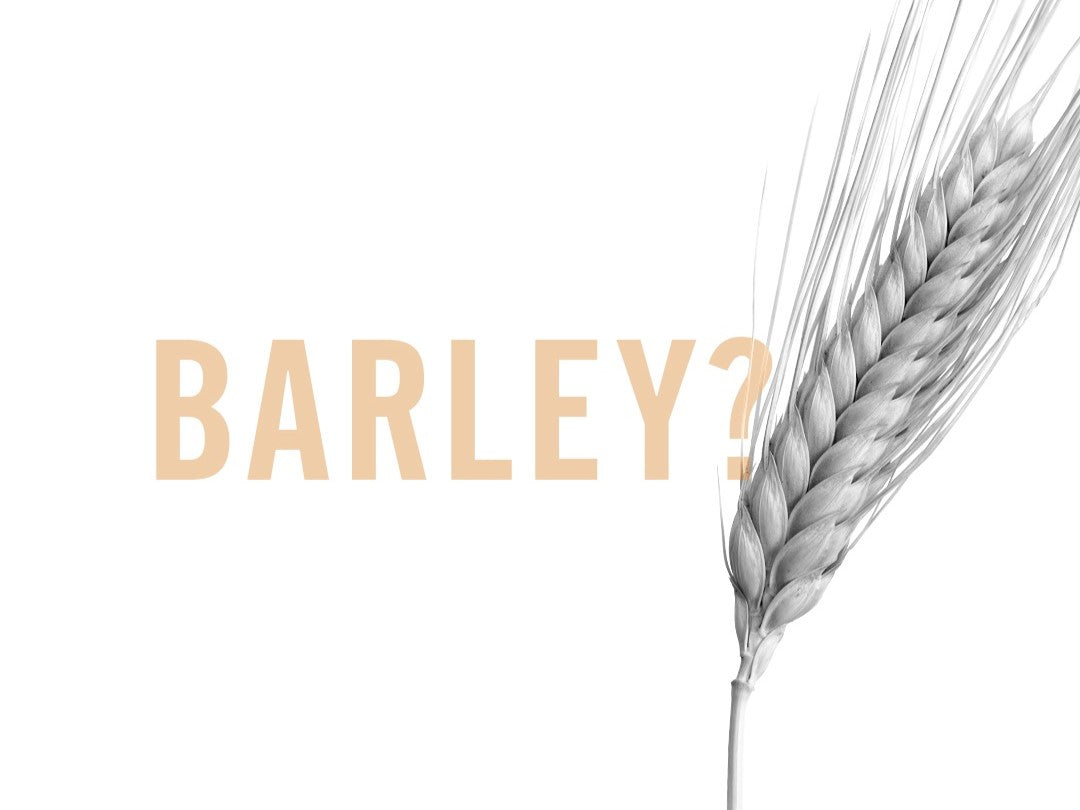 best organic barley in India-Jiwa