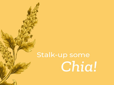 The ‘Before’ and ‘After’ Chia Seeds For Your Skin and Hair