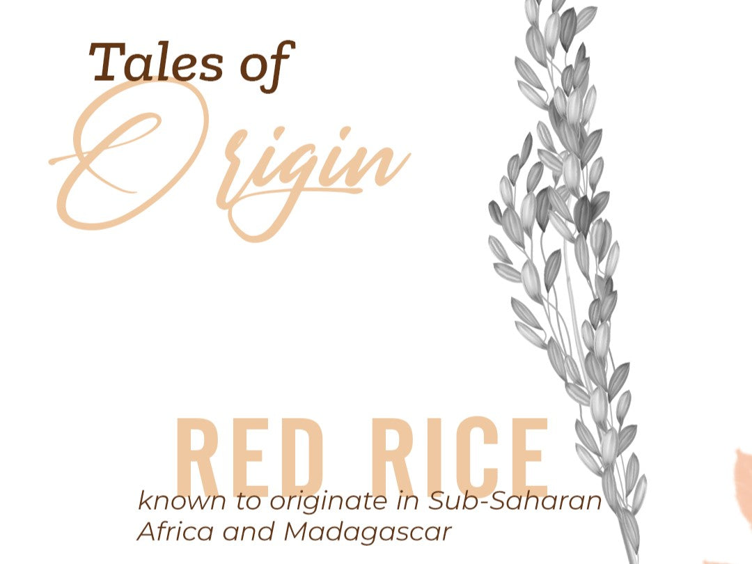 Buy the best red rice in India-Jiwa