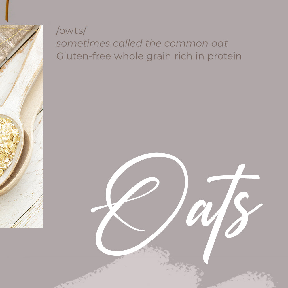  instant oats online-jiwa make a high rich in protein