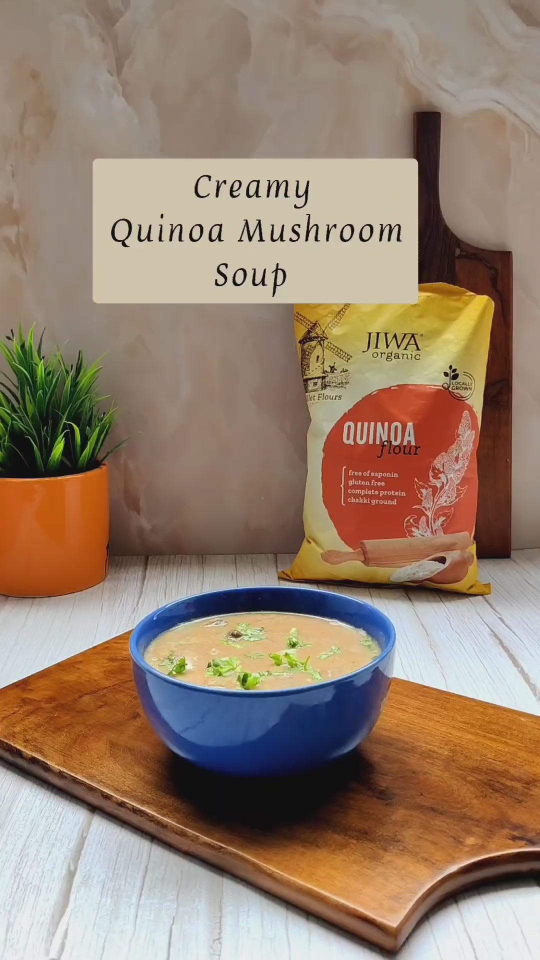 organic quinoa flour-jiwa organic creamy mushroom soup